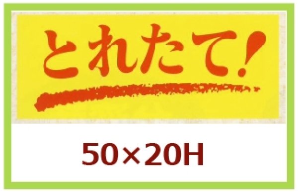 画像1: 送料無料・販促シール「とれたて！」50×20mm「1冊1,000枚」 (1)